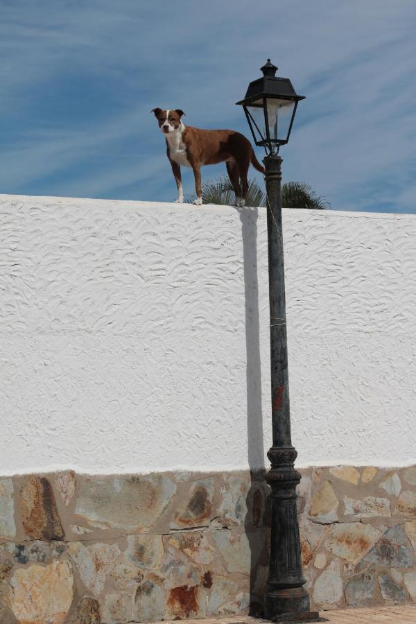 Golf View Apartment - Stunning Ocean View Golf Del Sur San Miguel de Abona Esterno foto
